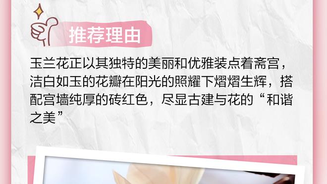开云app最新官方入口网站截图3